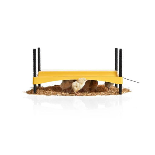 Brinsea Products USHD612C Eco Glow Safety 1200 Chick Brooder