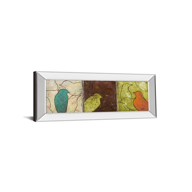 Classy Art 1371MF 18 x 42 in. Lovely Birds II by Patricia Pinto Mirror Framed Print Wall Art