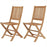International Home Miami Amazonia Teak Set of 2 London Folding Chair