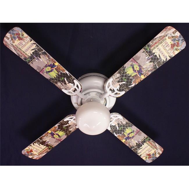 Ceiling Fan Designers 42FAN-KIDS-RSS2 42 in. Radical Skateboards-2 Ceiling Fan