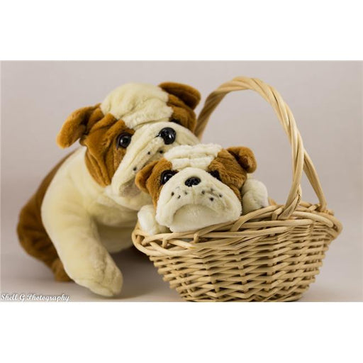 Covered In Comfort 201 Bulldog Large&#44; All Ages