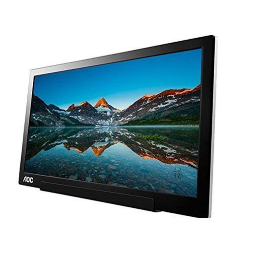 16 in. USB-C IPS Monitor