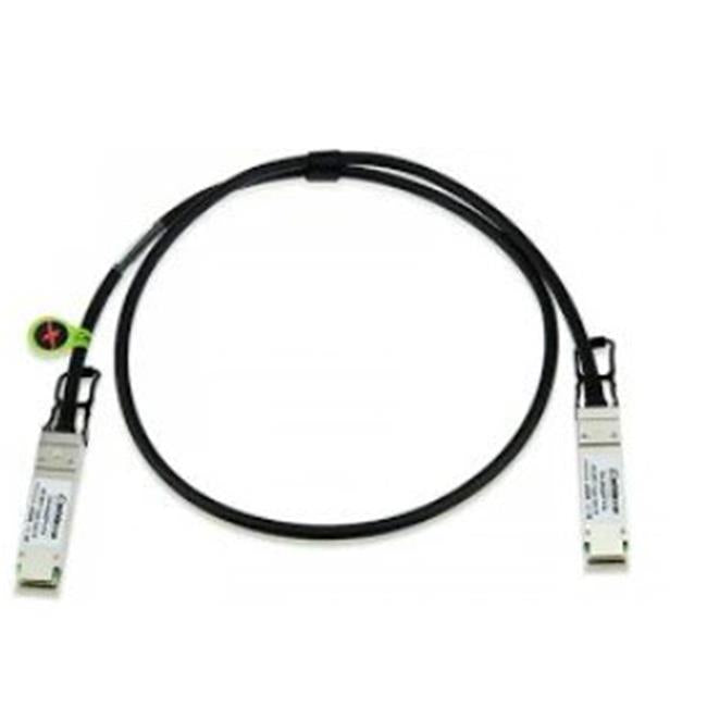 Extreme Networks AA1404029-E6 1 m QSFP Plus to DAC Cable Passive Cable