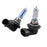 264H13DW 12V 65-55W Headlight Bulb in Diamond White