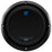 8 in. Anarchy Dual Voice Coil Subwoofer