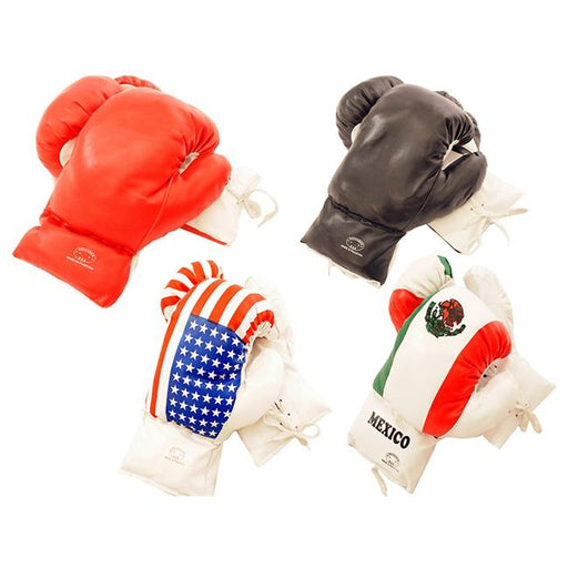 20 oz Boxing Gloves In 4 Different Styles