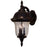 Glenn Aire Large Top Mount Light with Seedy Glass&#44; Oil Rubbed Bronze