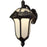 Rose Garden Large Bottom Mount Light with Alabaster Glass&#44; Oil Rubbed Bronze