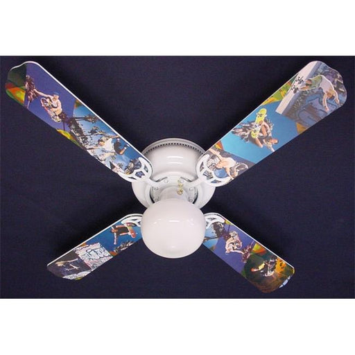 Ceiling Fan Designers 42FAN-KIDS-RSS Radical Skateboards Ceiling Fan 42 in.