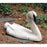 Craft-Tex 30008VB 20 in. Swan Demure - Vintage Blanc