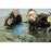 Great American Days SSI-NAT-066 Introduction to Diving
