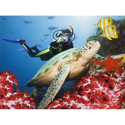 Great American Days SSI-NAT-189 Open Water Diver Course