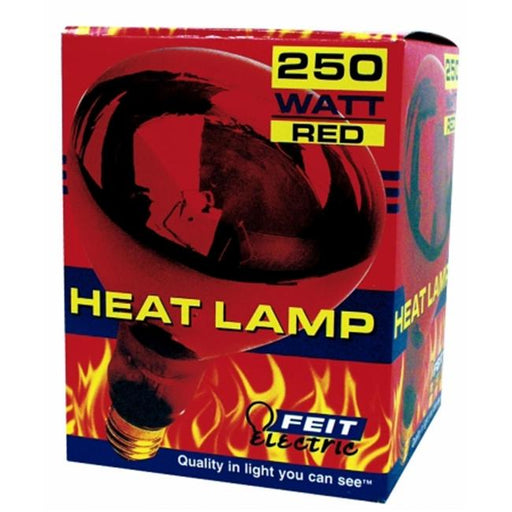 Feit 250 Watt Red Heat Lamps  250R40-10 - Pack of 12