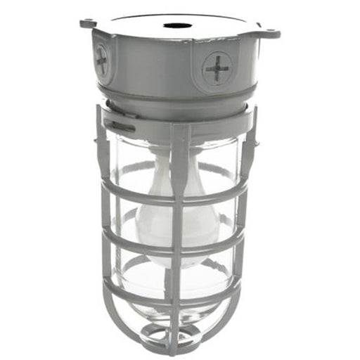 Coleman Cable L1706 100 Watt Outdoor Weatherproof Industrial Light With Clear Gl