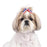 Aria DT361 99 Aria Stars and Stripes Bows Canister 100/Pkg