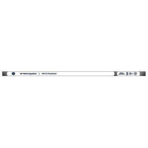 GE Lighting 49893 48 in. 40W Fluorescent Light Bulb - Pack Of 6