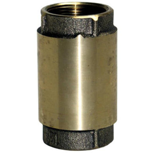 Water Source CV-200NL 2 in. Brass Check Valve