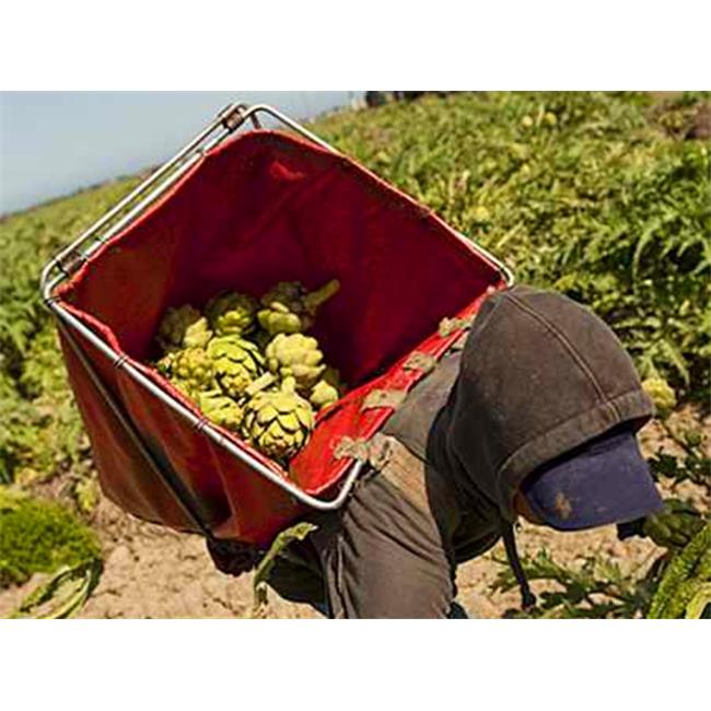 Zenport AG418-4PK Vegetable Fruit Harvest Backpack&#44; Box of 4